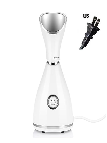 Skin Care Portable Professional Machine Personal Handheld Nano Ionic Face Sprayer Mini Custom Facial Steamer