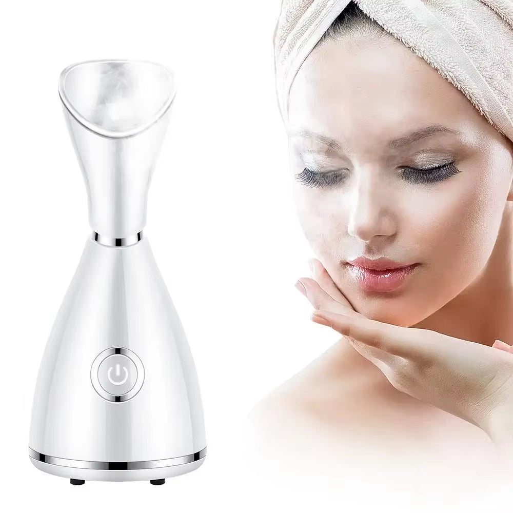 Skin Care Portable Professional Machine Personal Handheld Nano Ionic Face Sprayer Mini Custom Facial Steamer