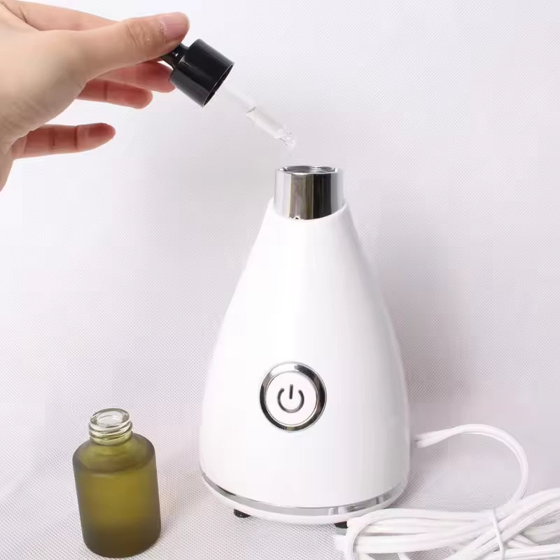 Skin Care Portable Professional Machine Personal Handheld Nano Ionic Face Sprayer Mini Custom Facial Steamer